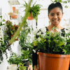 32 Grace Salaysay behind a houseplant in a large brown pot