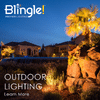 Blingle! square social media post