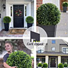 Curb Appeal Curb Appeal