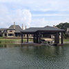 Dock Dock