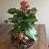 Planter Planter