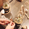 Terrarium Building Terrarium Building