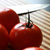 Tomatoes_Thumbnail Tomato