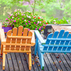 Plants, orange and blue chairs