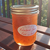 A single jar of rhubarb jam in the sunlight