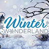Winter Wonderland Theme 2022