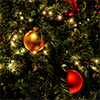 Christmas-thumb Christmas