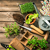 Garden Tools - Thumbnail Garden Tools