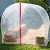 Karsten-Thumbnail Six-Week Greenhouse