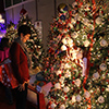 O Christmas Tree Thumbnail O Christmas Tree Thumbnail