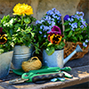 Garden-thumbnail
