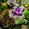show garden thumbnail Greenry