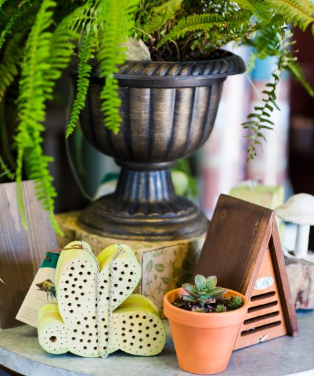 Garden items and fern