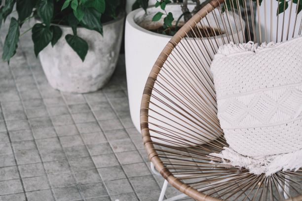 Patio chair and plants