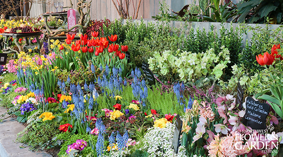 cavalcade-of-color Cavalcade of Color