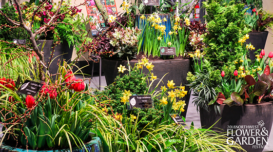 Perfect Plants for Great Containers Perfect Plants for Great Containers