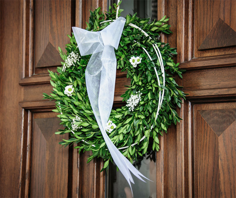 Boxwood Beauty Boxwood Beauty