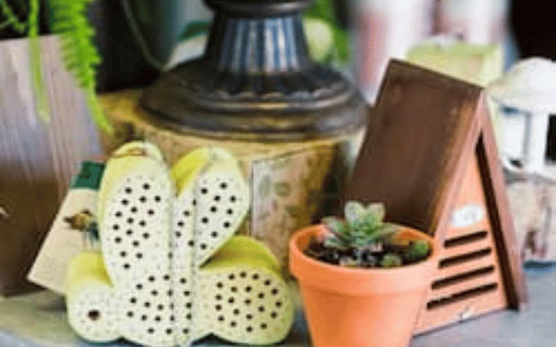 a potted plant and a light yellow watering can 