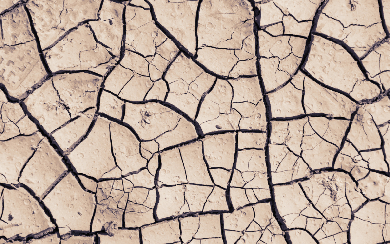 image of dry, cracked beige clay