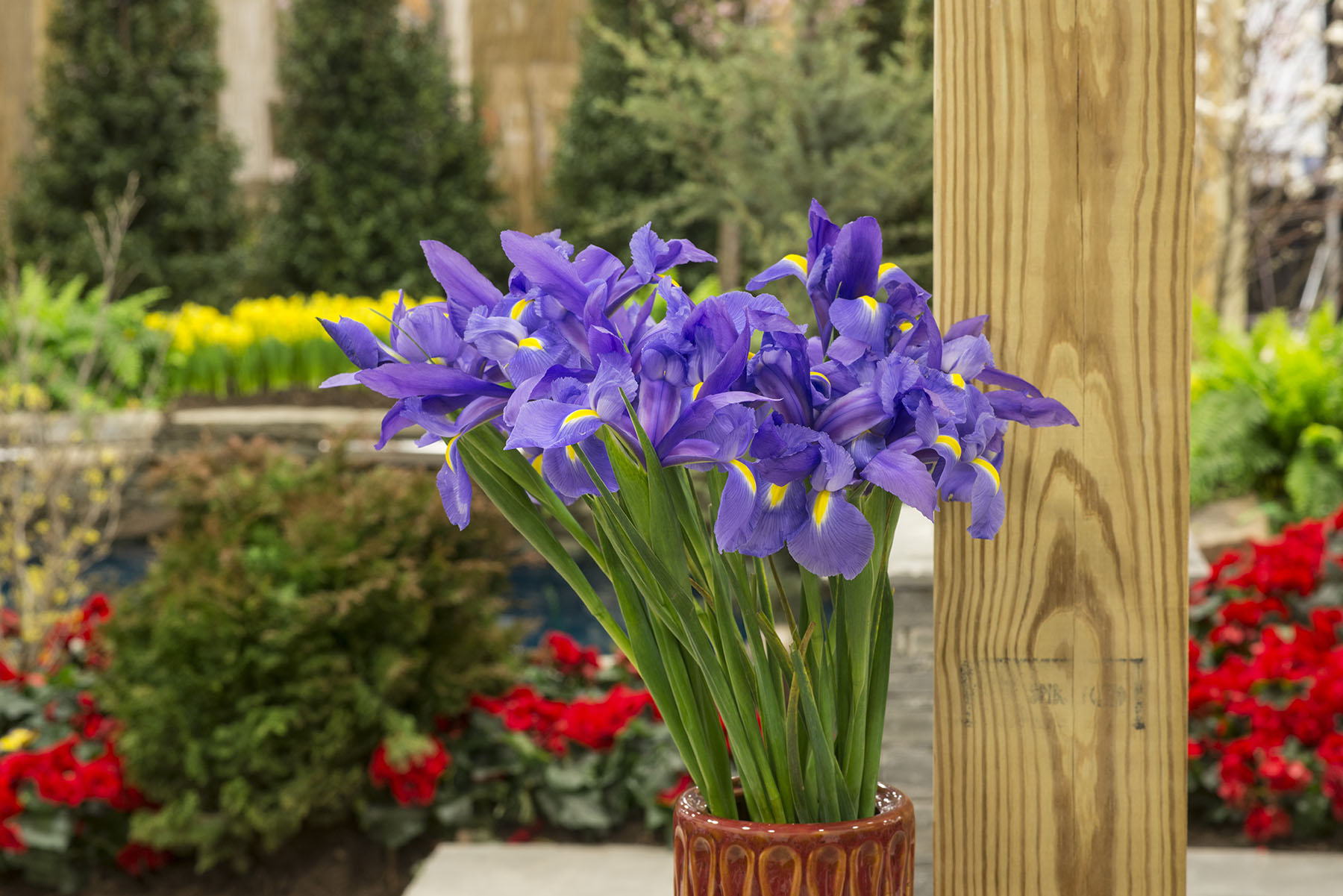 Feature Garden Florals