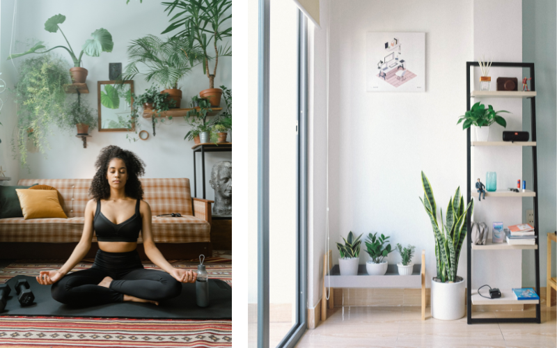 Split screen of Biracial woman wearing black workout clothing meditating in plant room on carpet in front of orange plaid couch on left and bright white plant room on hardwood floor on right