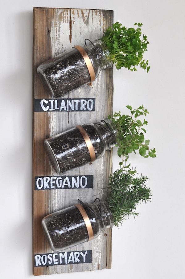 KitchenStyle_Herbs KitchenStyle_Herbs