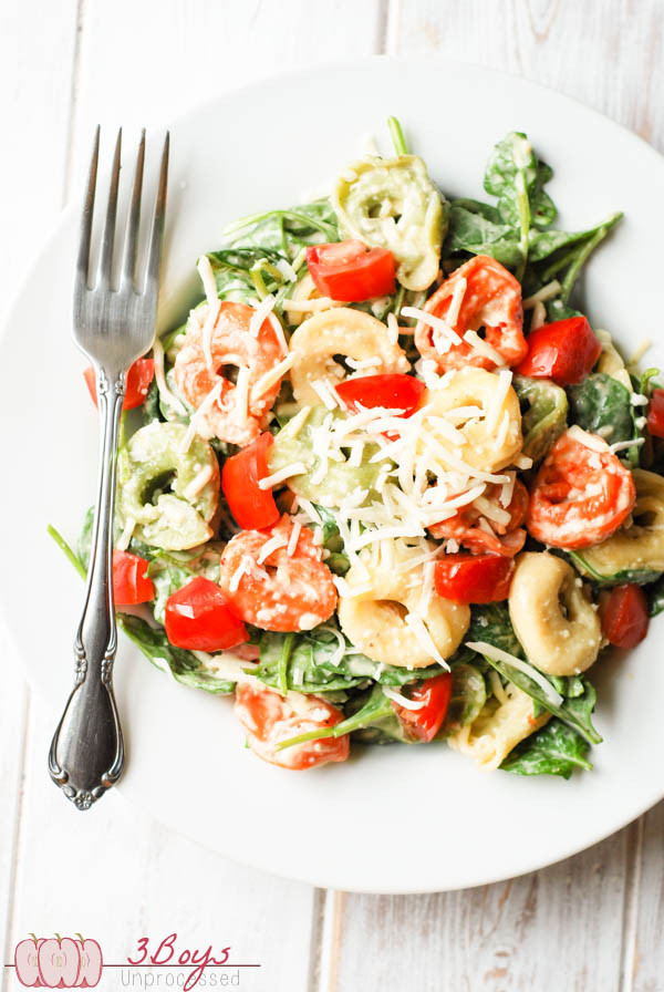 Salad_Tortellini Tortellini