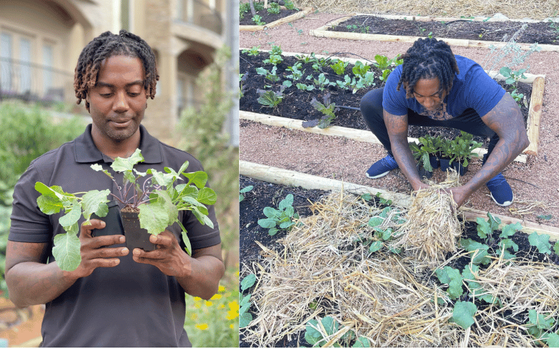 Timothy Hammond of Big City Gardener comparing two plants in his hands