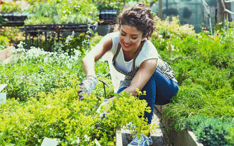30-something caucasian female with brown curly hair wearing white t-shirt and blue jeans with apron gardening