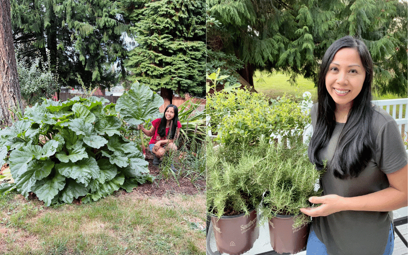 Misilla of Learn to grow squatting down next to large leafy lettuce plant wearing red tshirt and jean shorts. 