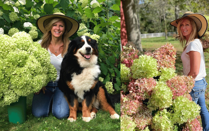 Kelly Lehman wearing white tshirt and blue jeans on her knees on grass holing Bernaise Mountain Dog next to large light green plant