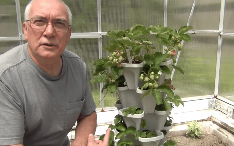 Thomas Clearly still from video sitting next to stacked planters talking to camera wearing light grey tshirt