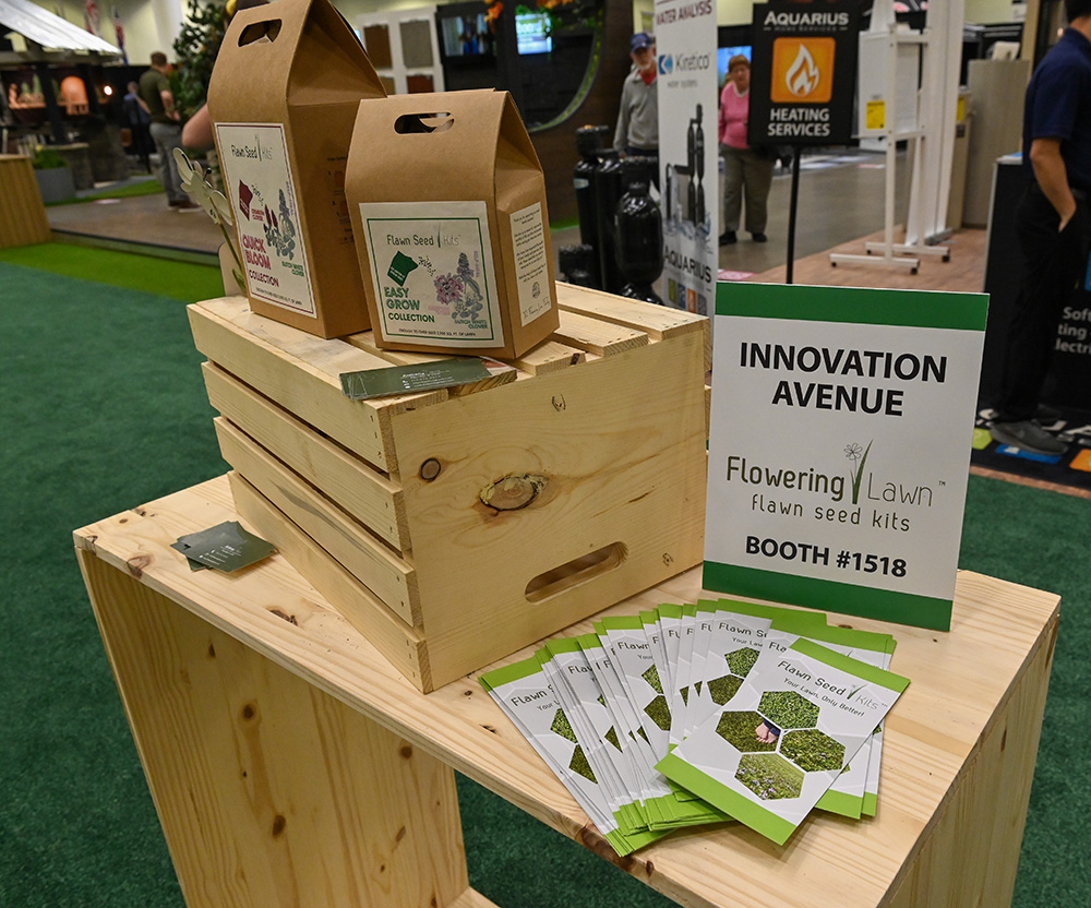 Innovation Avenue Flowering Lawn Product 2023