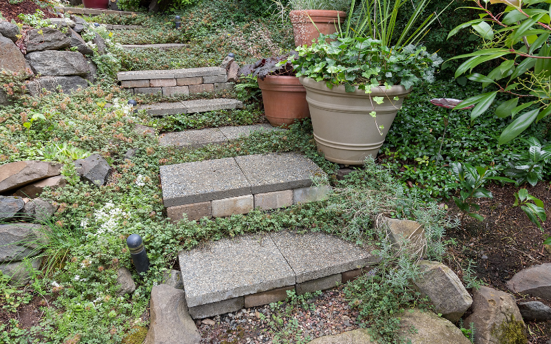 Patio stone steps leading up to back porch