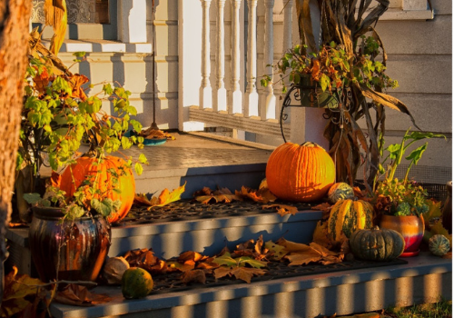 fallen leaves, plants, pumpkins and decorations on sun soaked front porch steps