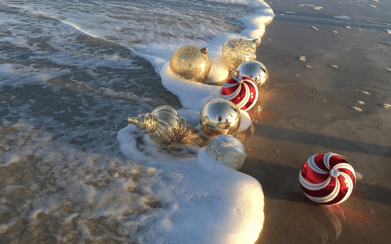 Coastal Sea Shell Fishing Net Lighthouse Starfish Ocean Beach