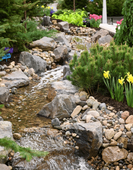 Feature landscape outdoor garden image featuring stones, tulips and mini waterfall