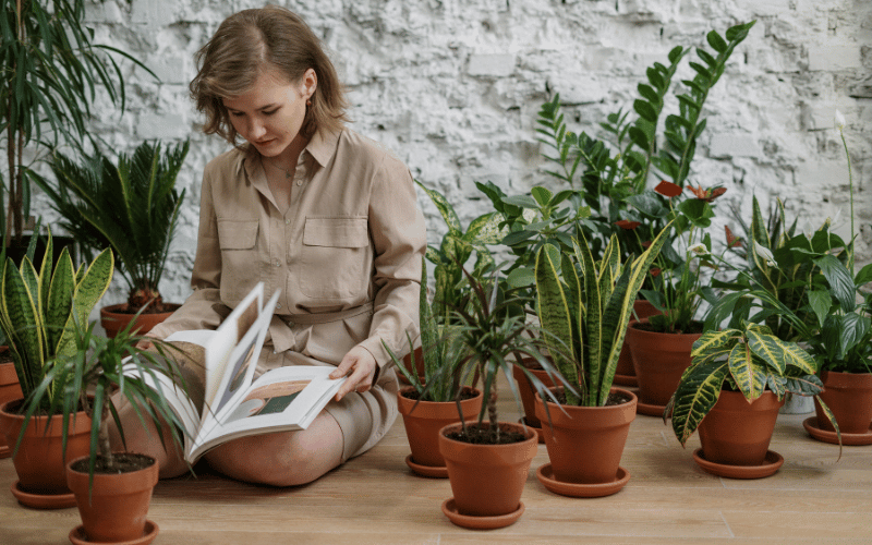 Woman sitting on hardwood floor surrounded by variety of plants in brown clay pots reading book