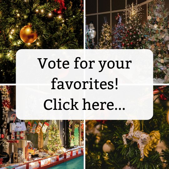 Décor Competition at the Southern Christmas Show