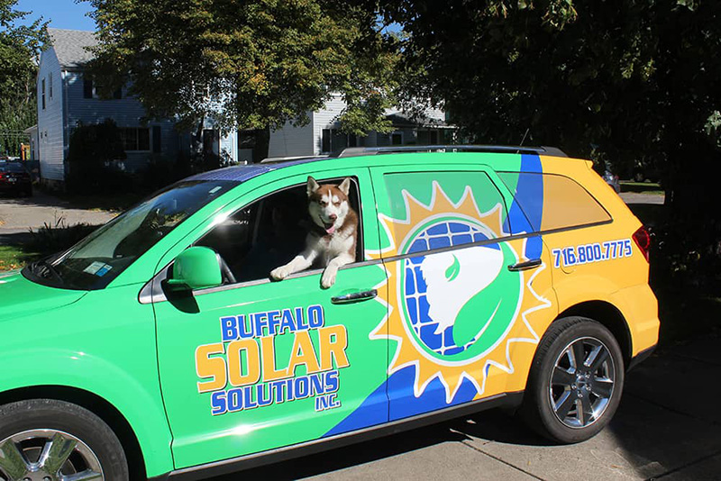 Buffalo Solar Solutions Pup