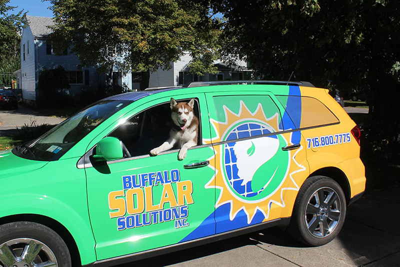 Buffalo Solar Solutions Pup Buffalo Solar Solutions Pup