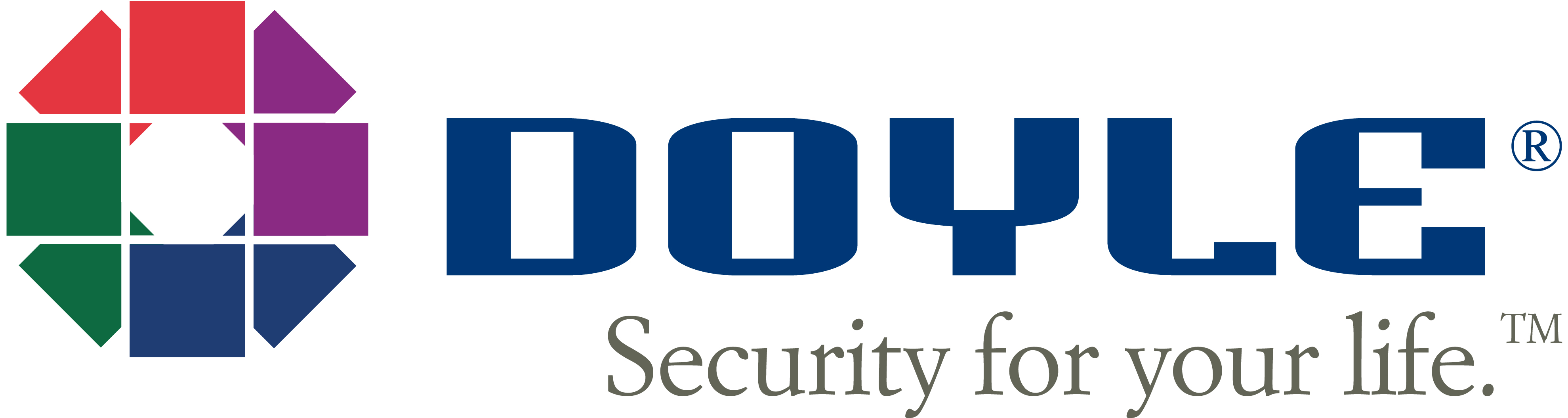 Doyle Security Systems Logo Doyle Security Systems Logo