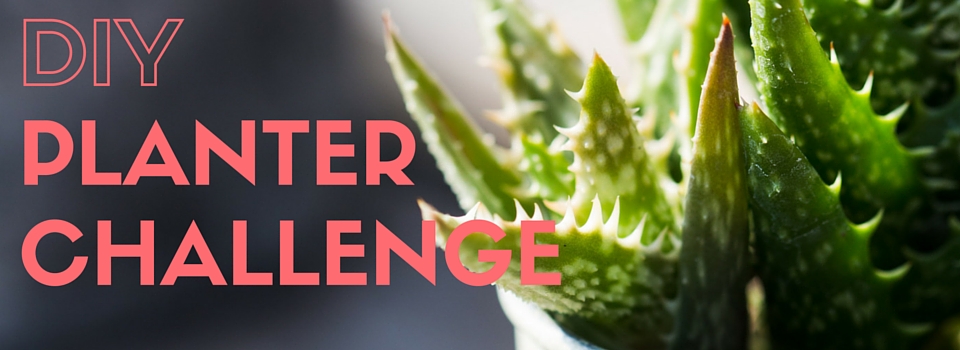 Planter Challenge Planter Challenge