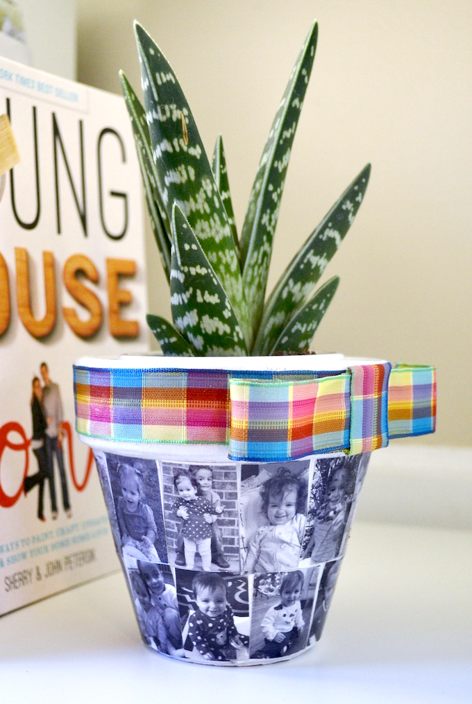 Planter from Mod Podge Rocks Planter from Mod Podge Rocks