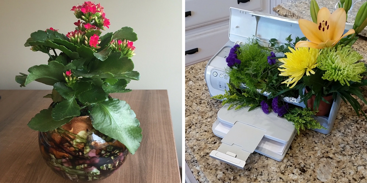 Planters Planters