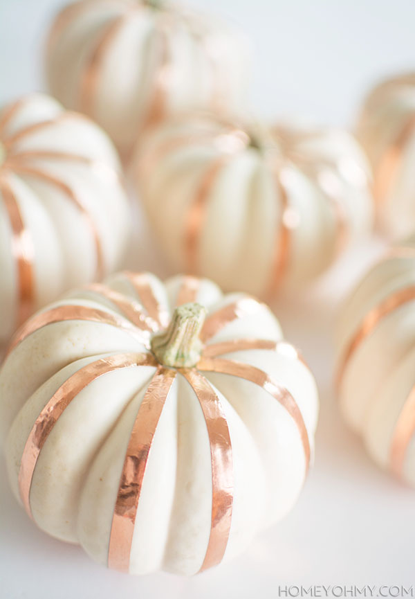 Pumpkins - Honey Oh My Pumpkins - Honey Oh My