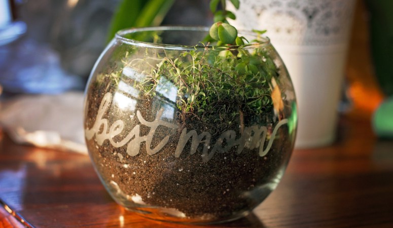 Terrarium from DIY Just Cuz Terrarium from DIY Just Cuz