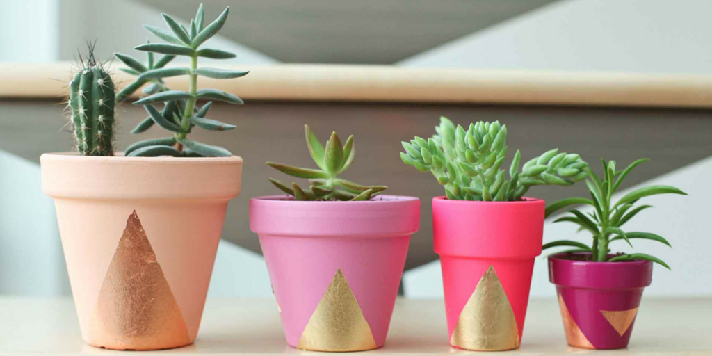 Succulents_Twitter2 Triangle Planters